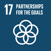 Goal - Partnerships for the goals